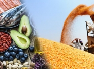 97_alimentos.jpg