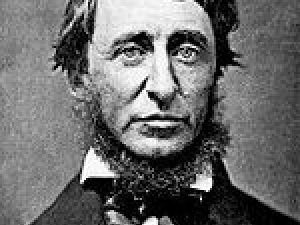 0_150px-henry_david_thoreau.jpg