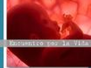 0_revista-por-la-vida.jpg
