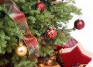 0_arbol-de-navidad-1.jpg