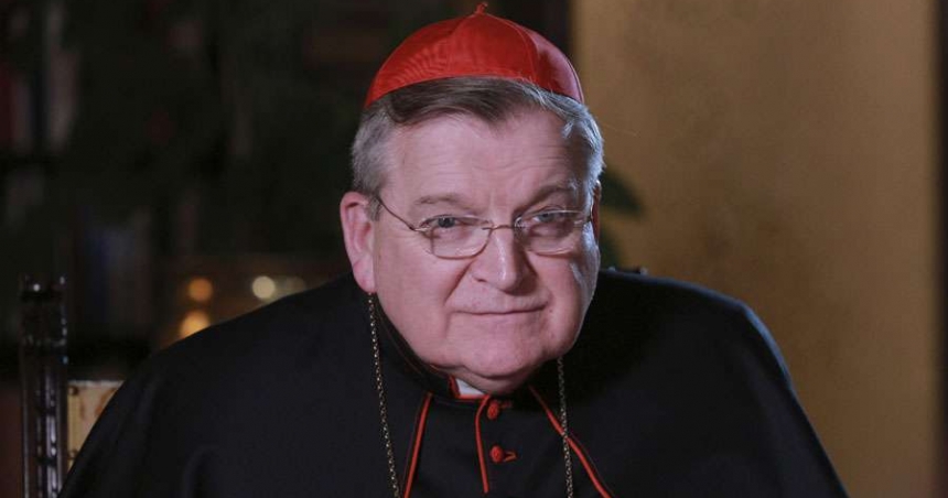 34_cardenalburke.jpg